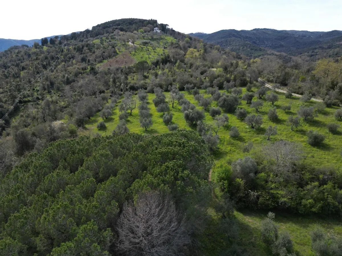 Casa Poggio Agliai Basso Villa Suvereto Holiday home